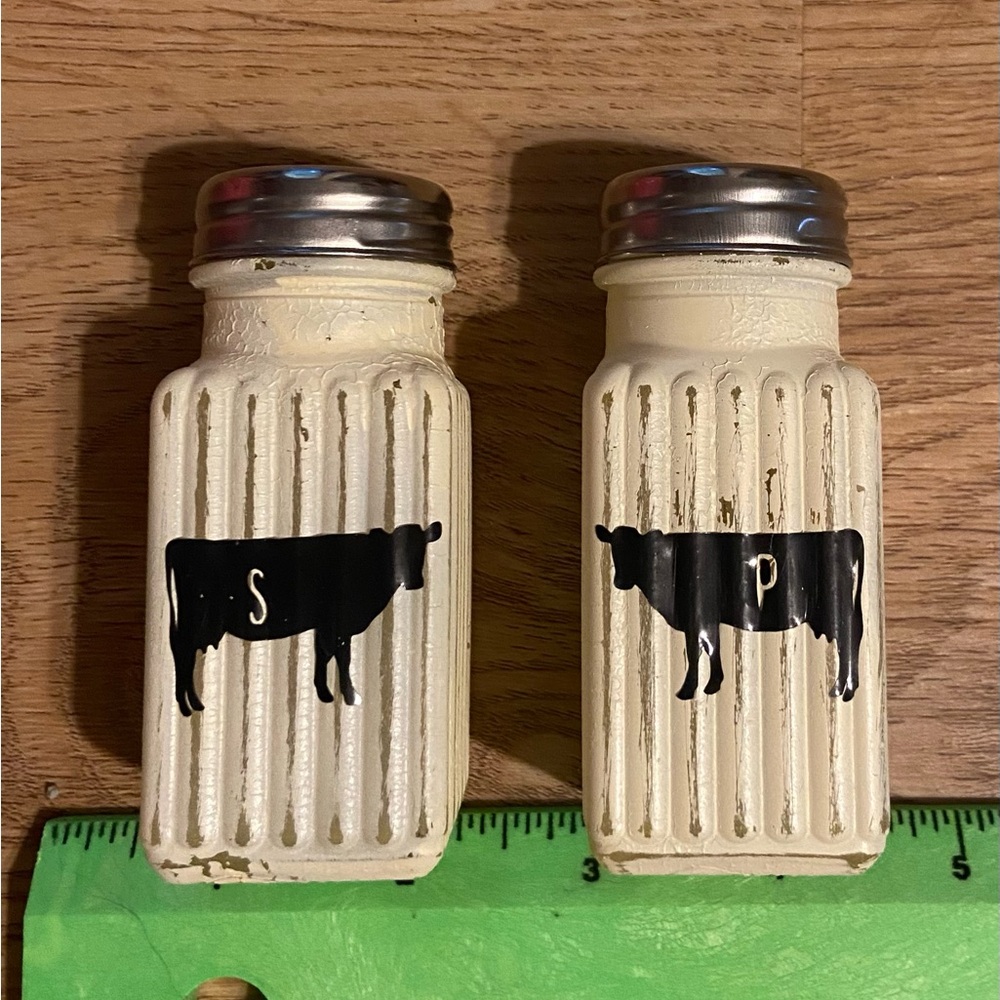 Country Chic. Glass ribbed classic salt and pepper set -hand painted & decorated